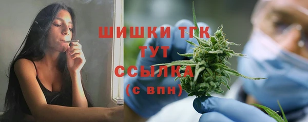 амф Няндома