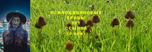 мяу мяу мука Новокубанск