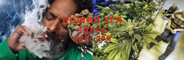 MESCALINE Новозыбков