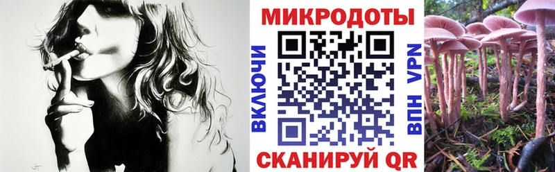 Галлюциногенные грибы Psilocybine cubensis  Власиха 